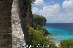 Just some of the "1000 steps" in Bonaire. Taken with a Ni... by Morgan Ashton 